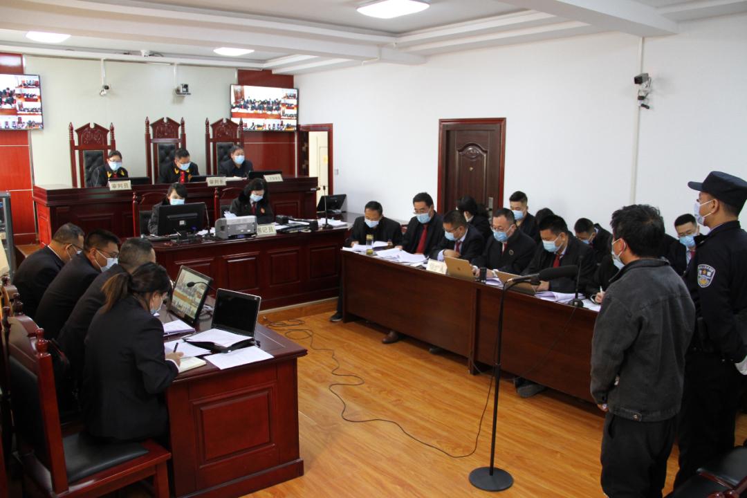 刑九最新动态，法律进展与社会反响同步更新
