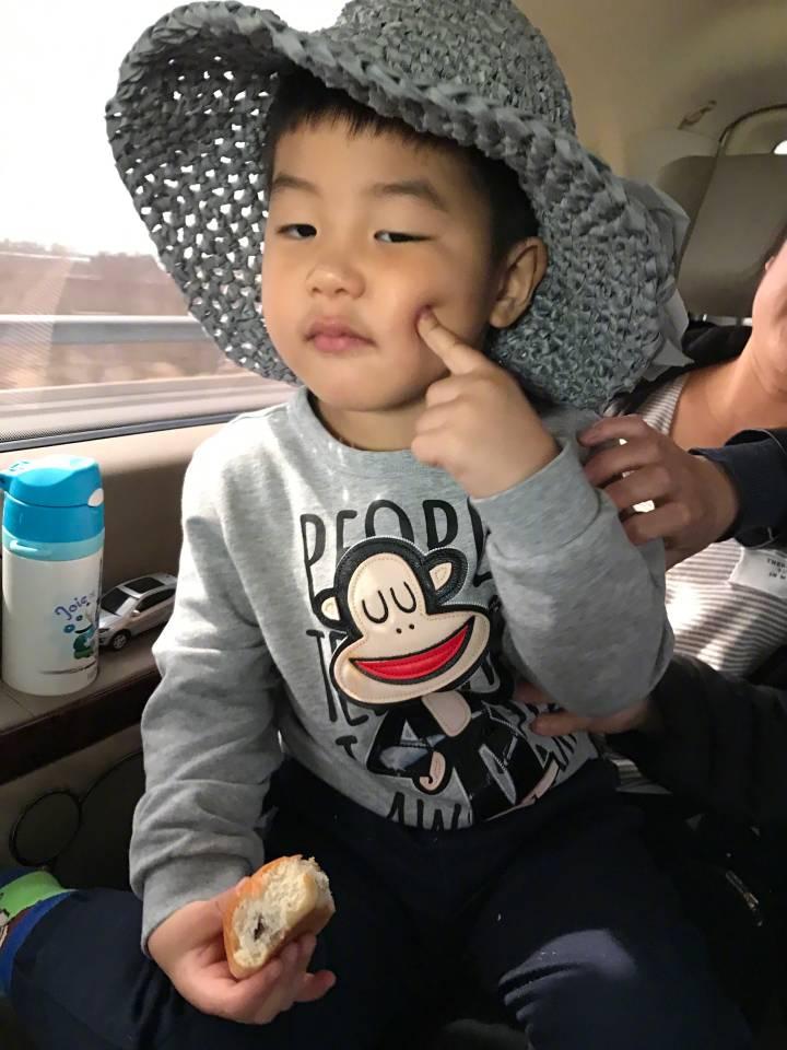 安吉最新照片，自然之美的永恒瞬间捕捉报道