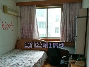 金湖租房最新信息全面概览